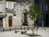莱克图尔 - 戴高乐将军广场，长椅和树木，国家街和Hotel des Trois Boules的大门