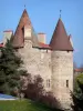 莱斯皮纳斯城堡 - 中世纪堡垒的塔
