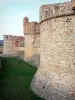 萨尔斯堡垒 - Salses城堡细节