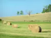 蒂尔*希尔克 - 草堆在田野里，在Thil的小丘脚下