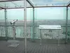 蒙帕纳斯大厦 - 观察俯瞰法国首都的全景露台的范围和观点