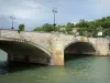 蒙特罗故障，约讷省 - 跨越塞纳河的桥梁