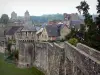 蕨类植物 - 城墙，城堡塔楼和中世纪小镇的房屋