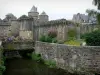 蕨类植物 - Nançon河，花，灌木，城墙和中世纪城堡的塔