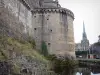 蕨类植物 - 城堡，护城河和圣叙尔皮斯教堂的钟楼的强化围墙（城墙）