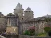 蕨类植物 - 中世纪城堡，鲜花和灌木的塔和城墙
