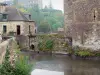 蕨类植物 - 城堡护城河和石头房子