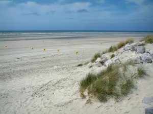 蛋白石海岸的风景 - 沙丘与植物（oyats）和岩石，沙滩与黄色浮标，海（海峡），Hardelot-Plage（区域自然公园帽和蛋白石沼泽）