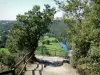 诺曼底风景 - 在Vire山谷的观点