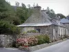 诺曼底风景 - 石房子在Cotentin半岛的一个村庄，与花