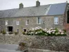 诺曼底风景 - 石房子在Cotentin半岛的一个村庄，与花