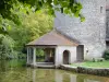 贝兹 - 姐妹们的washhouse和Oysel塔，旧修道院防御工事的遗迹，在bèze河畔，在绿色的环境中