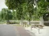 贝兹 - 在Bèze河畔的树下野餐桌