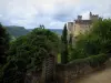 贝纳克和卡泽纳克 - 城堡的看法与多云天空的，在多尔多涅省谷，在Périgord