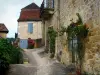 贝纳克和卡泽纳克 - 在Périgord的多尔多涅河谷，带有攀爬玫瑰（玫瑰）的外墙的石头房子两旁倾斜的狭窄小巷