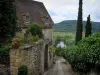 贝纳克和卡泽纳克 - 在Périgord，俯瞰多尔多涅河谷（河）的房子和倾斜的车道