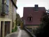 贝纳克和卡泽纳克 - 村庄狭窄的街道两旁有房屋，位于Périgord的多尔多涅河谷