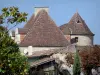 贡托德诺加雷 - 村庄的屋顶