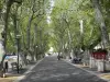 迪涅莱班 - 巷子里排列着梧桐树