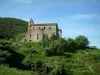 阿尔塔罗卡 - 修道院和教会圣弗朗西斯（在圣卢西亚de Tallano附近村庄）与树和植被，小山在背景中