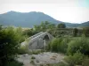 阿尔塔罗卡 - 热那亚桥（Spin'a Cavallu）跨越河流（Rizzanèse），灌木丛，树木和山脉在背景中