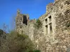 阿尔朗普代 - 中世纪城堡的废墟
