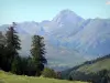 阿斯宾通行证 - 从通行证，可以看到周围比利牛斯山脉的树木和山脉
