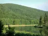阿登的风景 - 阿登地区自然公园 - 阿登 - 默兹河谷：默兹河和阿登森林