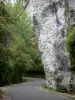 阿韦龙峡谷 - 石灰石峭壁（岩石面孔）和沿峡谷路的树