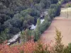 阿韦龙峡谷 - 河Aveyron的看法标示用树