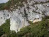 阿韦龙峡谷 - 石灰石悬崖（岩壁）和植被