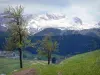 韦科尔地区自然公园 - 旅游、度假及周末游指南奥弗涅-隆-阿尔卑斯大区