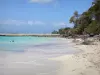 食道 - Datcha海滩和游泳者在绿松石海