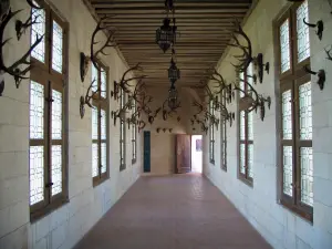 香波堡城堡 - 城堡内部：走廊装饰着狩猎奖杯
