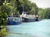 马恩河畔诺根特 - 马恩河上的游艇