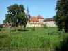 马恩河的风景 - Giffaumont-Champaubert村，在Pays du Der：Giffaumont教堂，半木结构房屋，草坪，树木，芦苇和睡莲