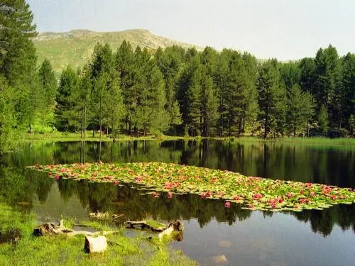 高山湖泊 - 旅游、度假及周末游指南上科西嘉省