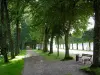 鲁内维尔城堡 - 走在小树林的公园