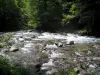 黑桃谷 - 有岩石和树的河在水的边缘，在比利牛斯