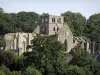 Abadia de Hambye - Igreja da Abadia e campanário quadrado rodeado por árvores