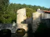 Abadia de Nouaillé-Maupertuis - Ponte, fosso (rio Miosson), torres e árvores