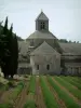 Abadía de Sénanque - Campo de lavanda y abadía cisterciense de Nuestra Señora de Sénanque