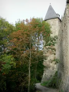 Abbaye de Chantelle - Abbaye bénédictine Saint-Vincent : chemin bordé d'arbres, au pied des remparts