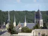 Abbaye de Fontevraud - Église abbatiale de l'abbaye royale et forêt