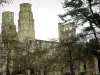 Abbaye de Jumièges - Ruines de l'église Notre-Dame et arbres, dans le Parc Naturel Régional des Boucles de la Seine Normande