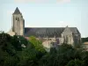 Abbaye royale de Celles-sur-Belle - Église abbatiale Notre-Dame, maisons de la ville et verdure