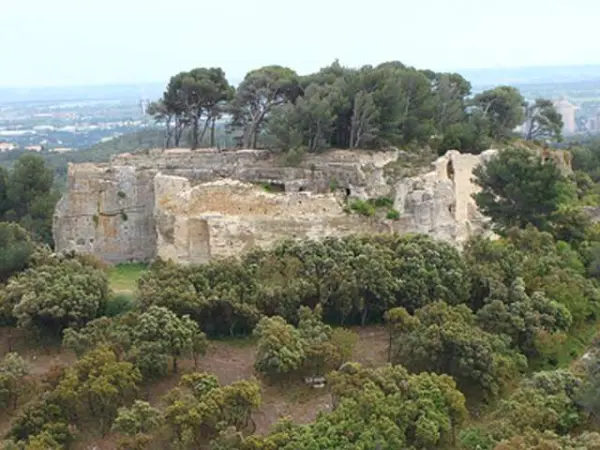 L'abbaye de Saint-Roman - Guide tourisme, vacances & week-end dans le Gard
