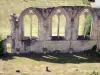 Abbaye de La Sauve-Majeure - Baies gothiques du réfectoire
