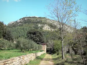 Abbazia di Fontfroide - Croce Fontfroide, arroccato su una collina che domina il sito dell'abbazia