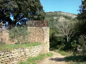 Abbazia di Fontfroide - Trail e verde periferia della abbazia di Sainte-Marie de Fontfroide